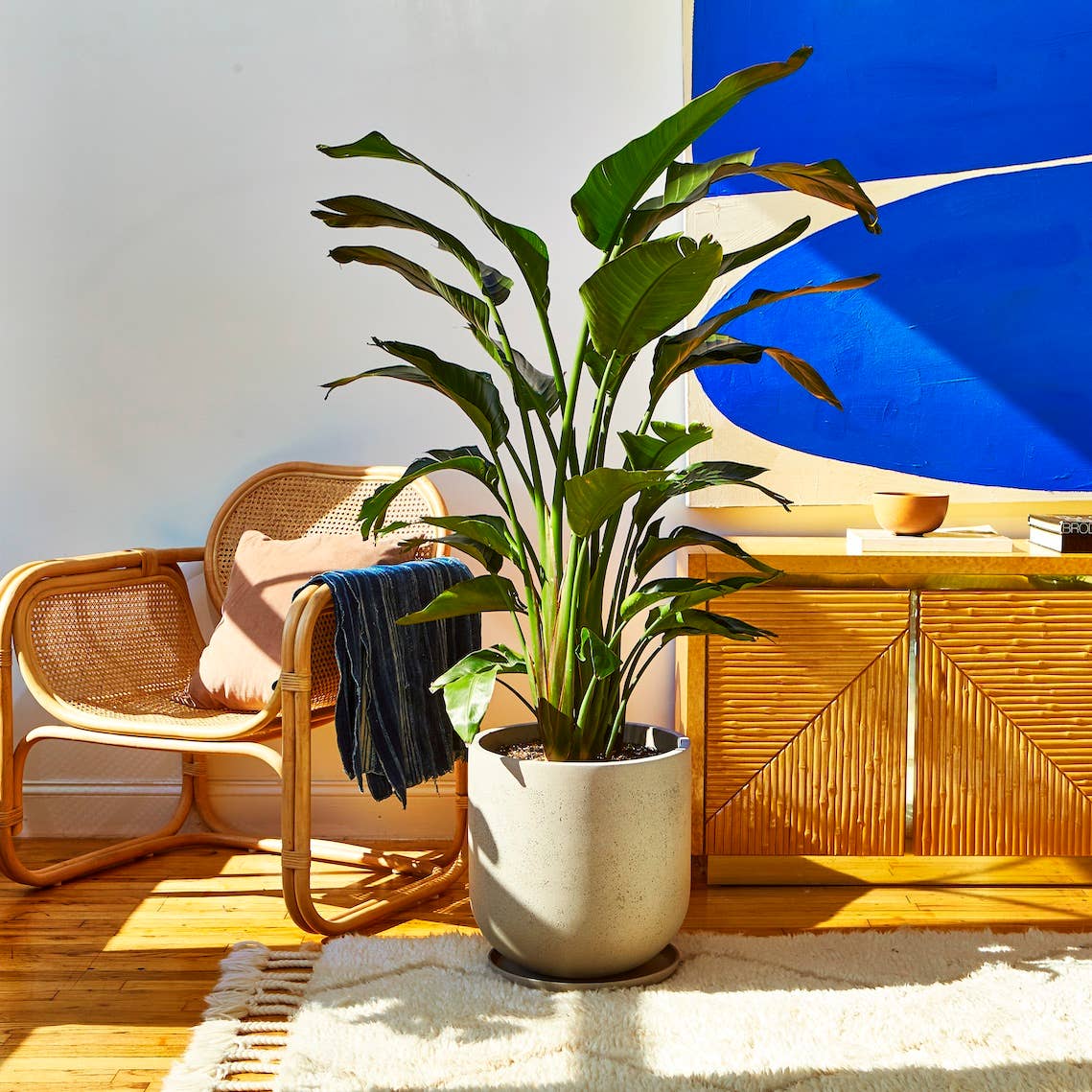 Wythe Series | Planters