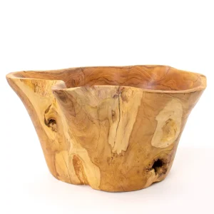Organic Root Teak Bowl | Andaluca